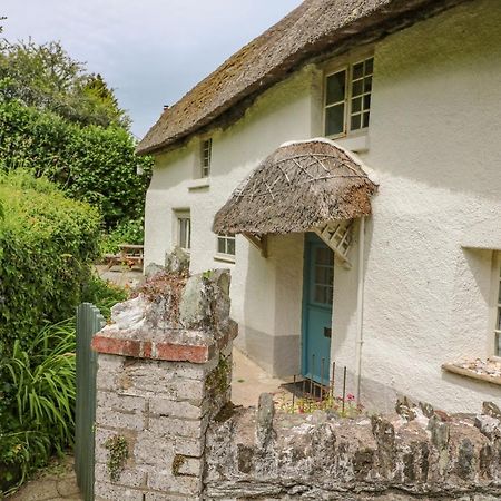 Elworthy Cottage Salcombe Extérieur photo